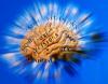 Foto de Dr. Jose aaron puente moreno-adicciones, depresin, ansiedad