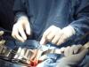 Foto de Cirugia digestiva y endocrina-cirugias gastrointestinales