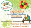 Foto de La casa de los loros parque aventura