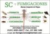 Foto de Sc - fumigaciones